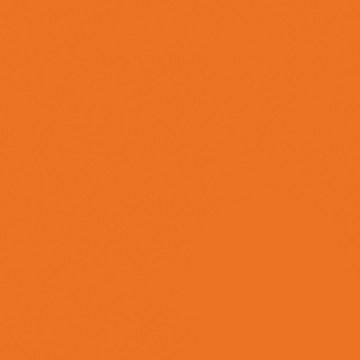 BD Backgrounds Tangerine 2.72m x 11m Seamless Paper (A1-152)