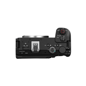 Mirrorless System Cameras