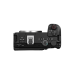 Mirrorless System Cameras