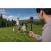 Pro Video