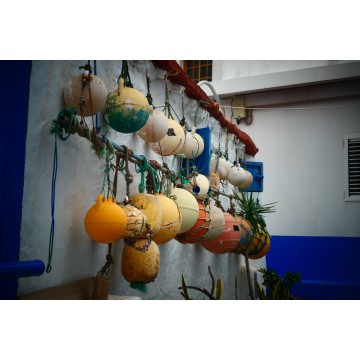 Photography