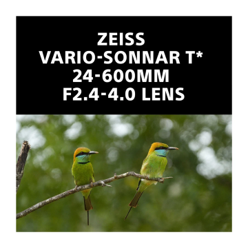Sony RX10 V - 24–600 mm Zoom, 20.1 MP, 30 fps burst shooting