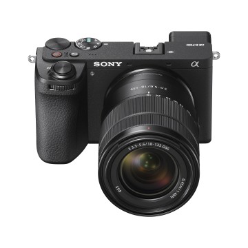 Mirrorless System Cameras