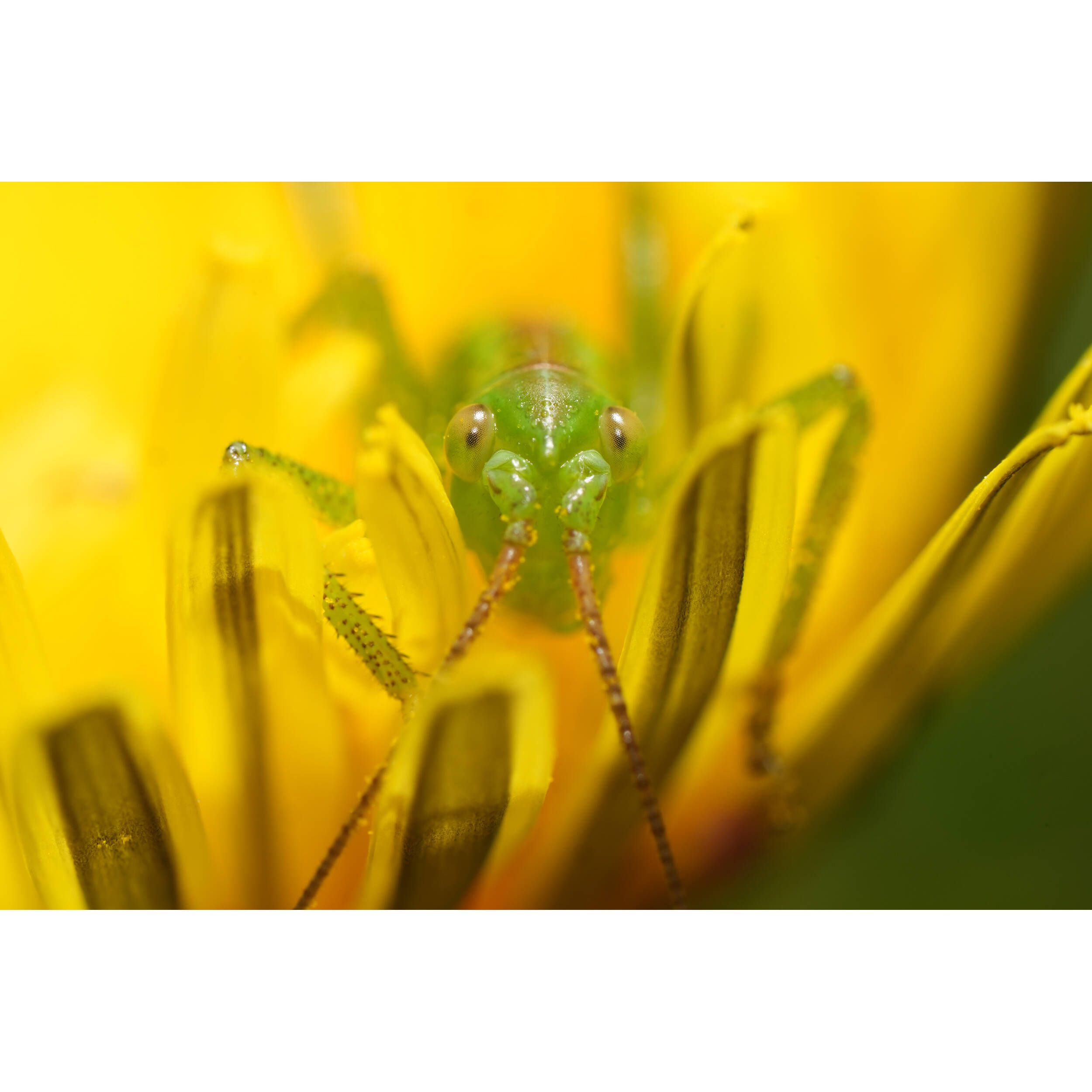 1759222917_IMG_2582638