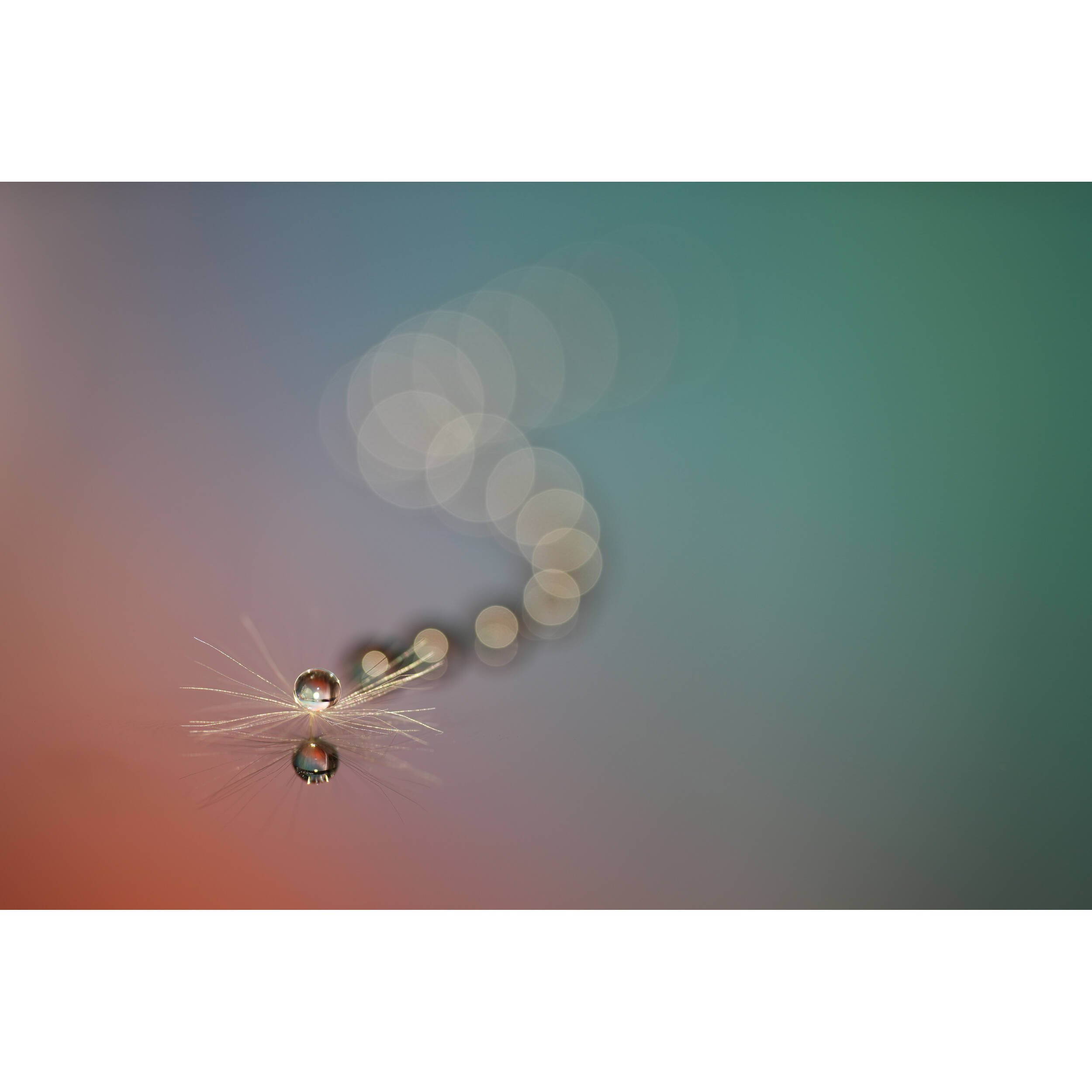 1759222917_IMG_2582640