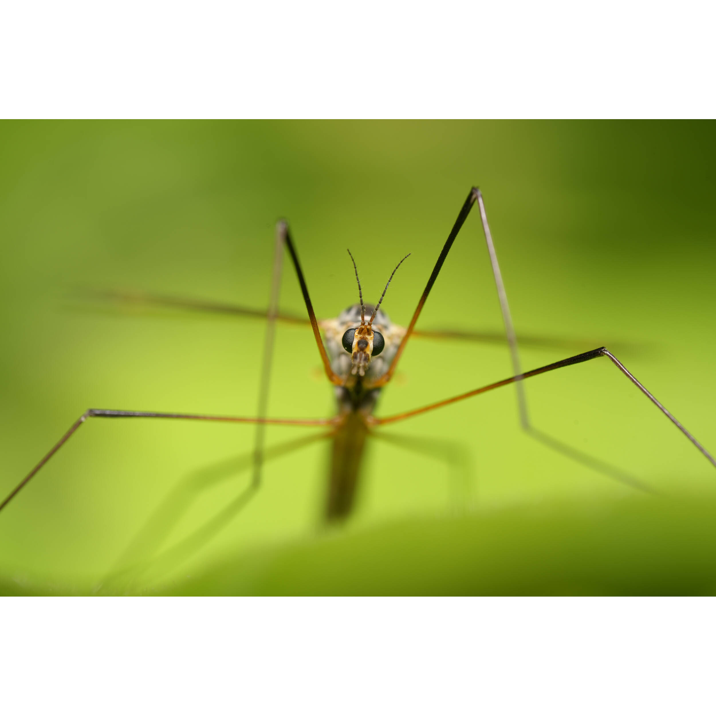 1759222917_IMG_2582644